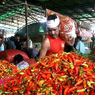 Harga Cabai Rawit Naik 2 Kali Lipat, Pemerintah Siap Impor 330 Ton Harga Cabai Rawit Naik 2 Kali Lipat, Pemerintah Siap Impor 330 Ton