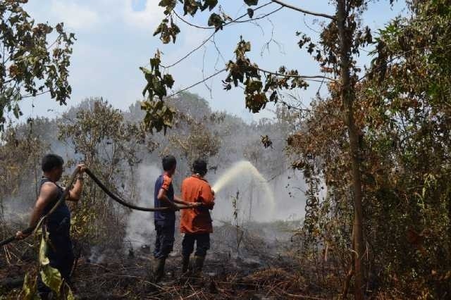 Kabut Asap, Ratusan Hektare Lahan Gambut di Siak Riau Masih Membara Kabut Asap, Ratusan Hektare Lahan Gambut di Siak Riau Masih Membara