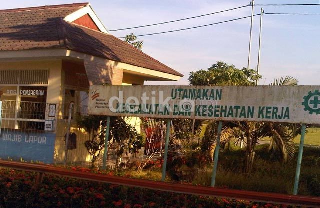 Bayar Utang Triliunan, Perusahaan Perkebunan Grup Bakrie Jual Aset Bayar Utang Triliunan, Perusahaan Perkebunan Grup Bakrie Jual Aset