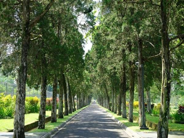 5 Destinasi Libur Sekolah yang Tak Biasa di Bali