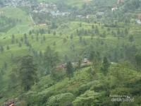 Pemandangan Puncak Pemandangan Puncak