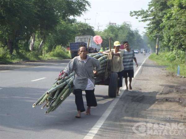 Para Pemanggul Belerang yang Menantang Bahaya dan Penjual Bambu Maraton Para Pemanggul Belerang yang Menantang Bahaya dan Penjual Bambu Maraton
