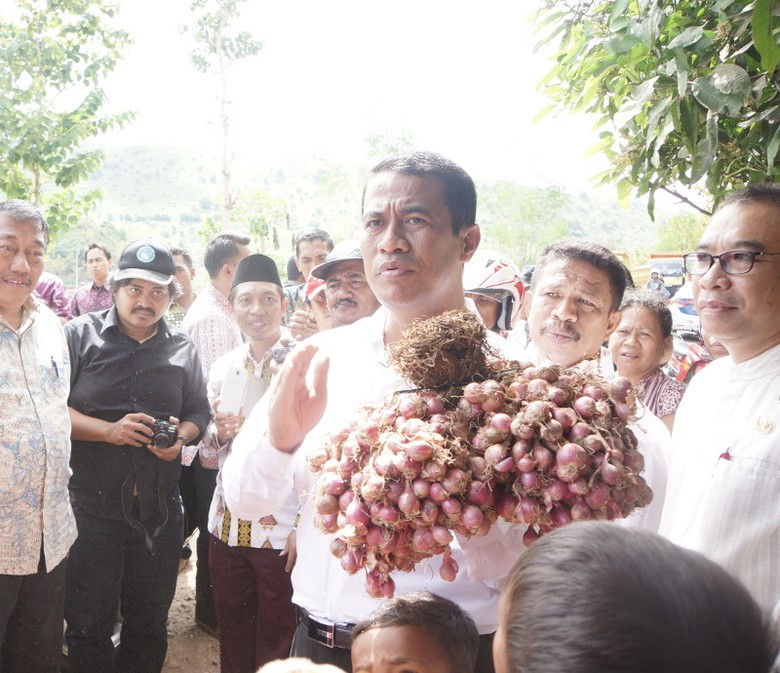 Mentan Amran, Ciptakan Racun Tikus yang Datangkan Uang Miliaran Mentan Amran, Ciptakan Racun Tikus yang Datangkan Uang Miliaran