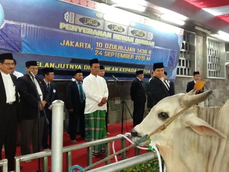 Wakili Jokowi, Mentan Serahkan Sapi Kurban ke Masjid Istiqlal