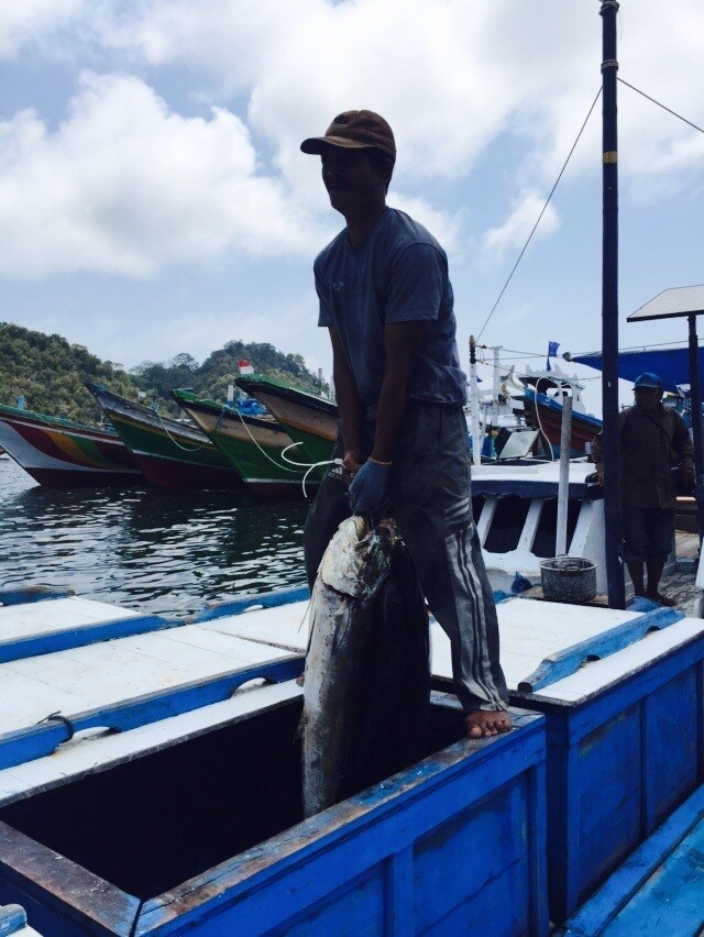 Sekali Melaut, Nelayan Tuna di Sulteng Bisa Raup Rp 36 Juta