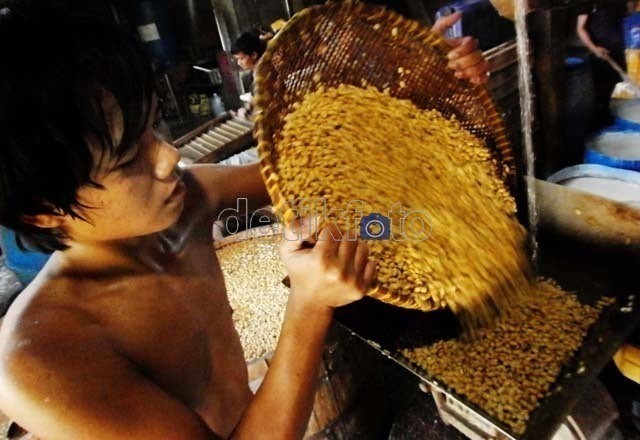 Produksi Kedelai Tahun Ini Diprediksi Sulit Meningkat Produksi Kedelai Tahun Ini Diprediksi Sulit Meningkat