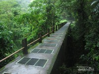 Perjalanan menuju air terjun Tiu Kelep Perjalanan menuju air terjun Tiu Kelep