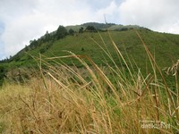 Gunung Sipiso-Piso sebelum berkabut Gunung Sipiso-Piso sebelum berkabut