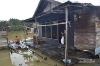 Aktifitas masyarakat Aktifitas masyarakat