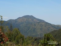 Pendakian Gunung Lawu melalui jalur Cemoro Sewu, start awal kita akan melihat pemandangan seindah ini. Pendakian Gunung Lawu melalui jalur Cemoro Sewu, start awal kita akan melihat pemandangan seindah ini.