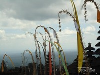 Pura Besakih merupakan komplek 23 pura berada di Desa Besakih di lereng Gunung Agung di Bali bagian timur. Merupakan pura terpenting,terbesar di antara serangkaian pura di Bali. Letusan Gunung Agung pada tahun 1963 yang menewaskan 1700 orang tapi tidak melukai pura, diartikan bahwa para Dewa telah menunjukan kekuatannya dengan tidak mengenai pura Pura Besakih merupakan komplek 23 pura berada di Desa Besakih di lereng Gunung Agung di Bali bagian timur. Merupakan pura terpenting,terbesar di antara serangkaian pura di Bali. Letusan Gunung Agung pada tahun 1963 yang menewaskan 1700 orang tapi tidak melukai pura, diartikan bahwa para Dewa telah menunjukan kekuatannya dengan tidak mengenai pura