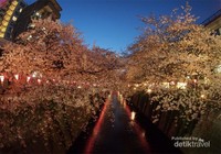 Megurogawa di malam hari Megurogawa di malam hari