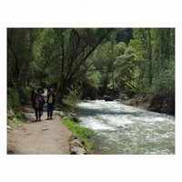 jalur trekking dengan sungai yang sangat indah jalur trekking dengan sungai yang sangat indah