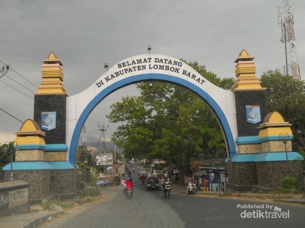 Bermain Bersama Monyet Liar di Hutan Pusuk Lombok