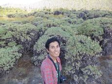 Ilham Firdaus Ilham Firdaus