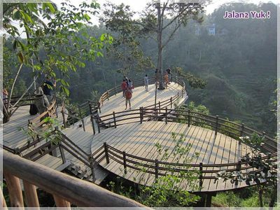 Ini Tempat Rekomendasi Agrowisata Kopi di Bali