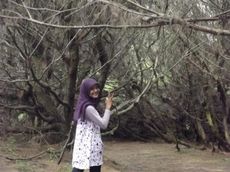 Sulis Setyowati Sulis Setyowati