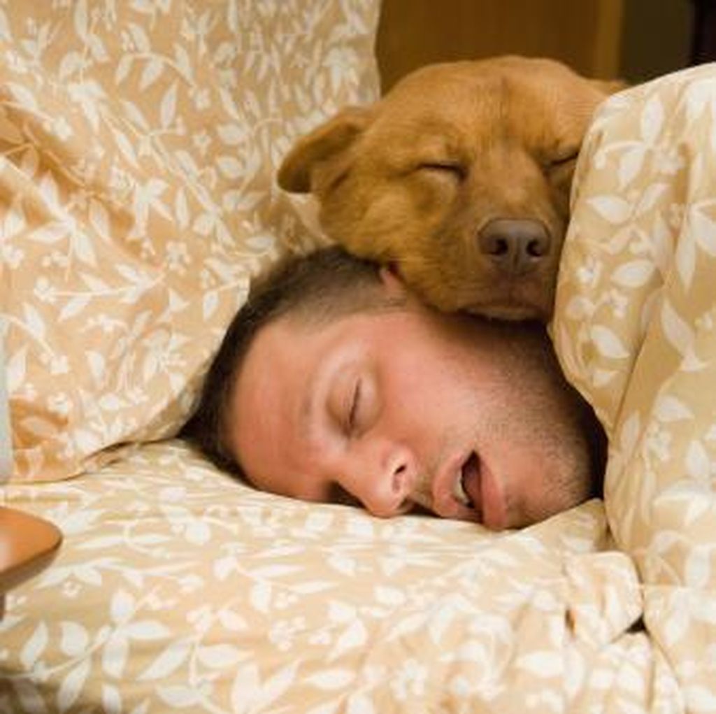 Selalu Ngiler Saat Tidur? Kenali Kemungkinan Penyebabnya Selalu Ngiler Saat Tidur? Kenali Kemungkinan Penyebabnya