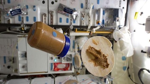 9 Makanan Unik Ini Jadi Santapan Para Astronot di Luar Angkasa (1) 9 Makanan Unik Ini Jadi Santapan Para Astronot di Luar Angkasa (1)